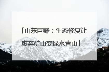 山东巨野：生态修复让废弃矿山变绿水青山