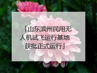 山东滨州民用无人机试飞运行基地获批正式运行