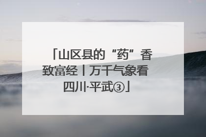 山区县的“药”香致富经丨万千气象看四川·平武③