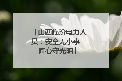 山西临汾电力人员：安全无小事 匠心守光明