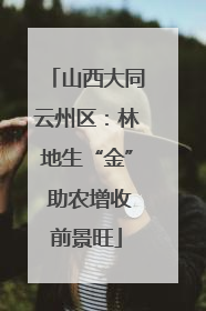山西大同云州区：林地生“金” 助农增收前景旺