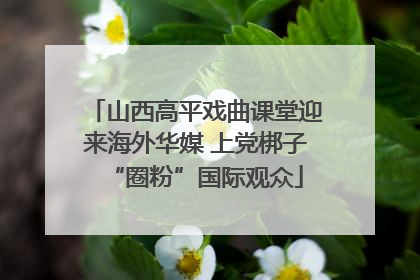 山西高平戏曲课堂迎来海外华媒 上党梆子“圈粉”国际观众