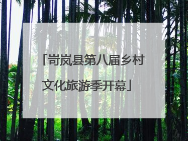 岢岚县第八届乡村文化旅游季开幕