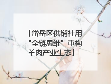岱岳区供销社用“全链思维”重构羊肉产业生态