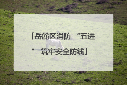 岳麓区消防 “五进” 筑牢安全防线