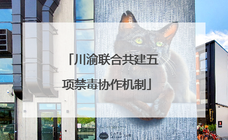川渝联合共建五项禁毒协作机制