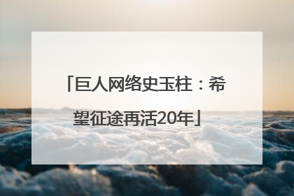 巨人网络史玉柱：希望征途再活20年