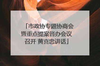 市政协专题协商会暨重点提案督办会议召开 黄喜忠讲话