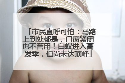 市民直呼可怕：马路上到处都是，门窗紧闭也不管用！白蚁进入高发季，但尚未达顶峰