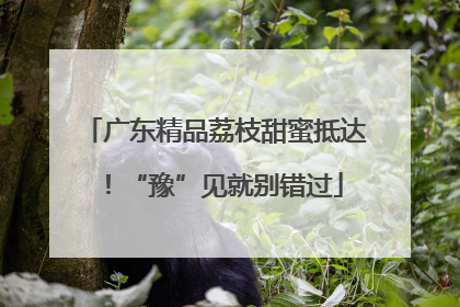 广东精品荔枝甜蜜抵达！“豫”见就别错过