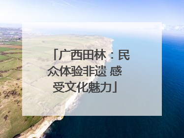广西田林：民众体验非遗 感受文化魅力