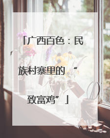 广西百色：民族村寨里的 “致富鸡”