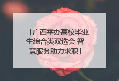 广西举办高校毕业生综合类双选会 智慧服务助力求职