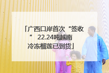广西口岸首次“签收” 22.24吨越南冷冻榴莲已到货