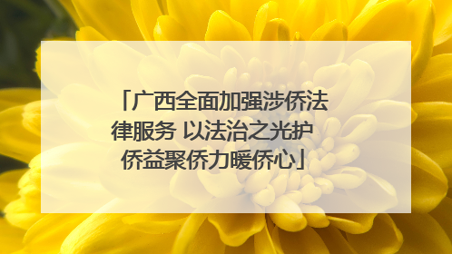 广西全面加强涉侨法律服务 以法治之光护侨益聚侨力暖侨心