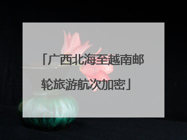 广西北海至越南邮轮旅游航次加密