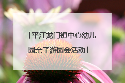 平江龙门镇中心幼儿园亲子游园会活动