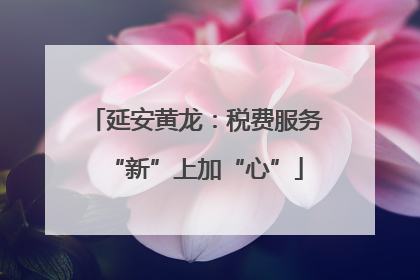 延安黄龙：税费服务“新”上加“心”