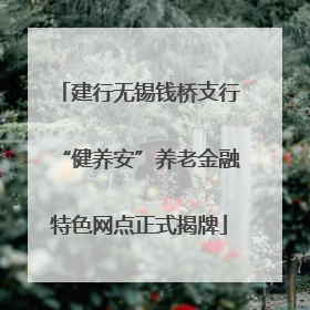建行无锡钱桥支行“健养安”养老金融特色网点正式揭牌