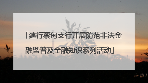 建行蔡甸支行开展防范非法金融暨普及金融知识系列活动