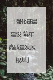 强化基层建设 筑牢高质量发展根基