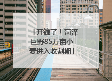 开镰了！菏泽巨野85万亩小麦进入收割期