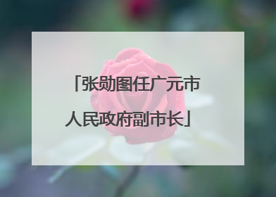 张勋图任广元市人民政府副市长