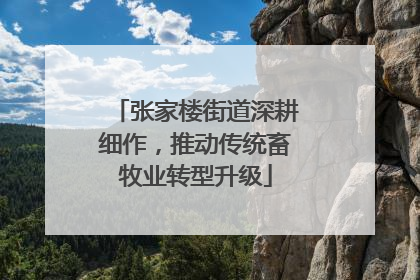 张家楼街道深耕细作，推动传统畜牧业转型升级