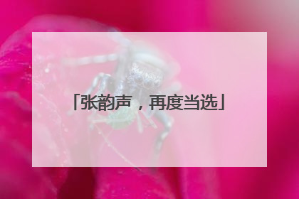 张韵声，再度当选