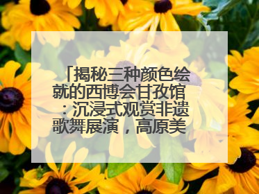 揭秘三种颜色绘就的西博会甘孜馆：沉浸式观赏非遗歌舞展演，高原美味从头吃到尾