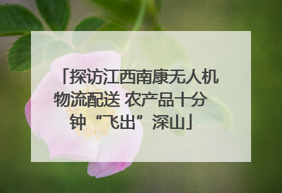 探访江西南康无人机物流配送 农产品十分钟“飞出”深山