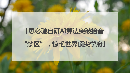 思必驰自研AI算法突破拾音“禁区”，惊艳世界顶尖学府