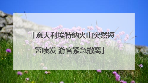 意大利埃特纳火山突然短暂喷发 游客紧急撤离