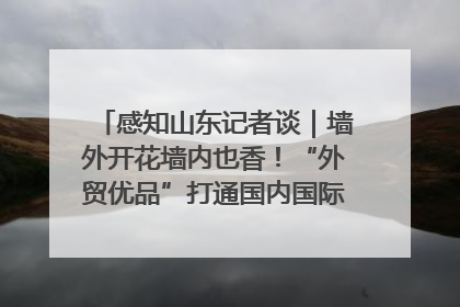 感知山东记者谈｜墙外开花墙内也香！“外贸优品”打通国内国际市场“旋转门”