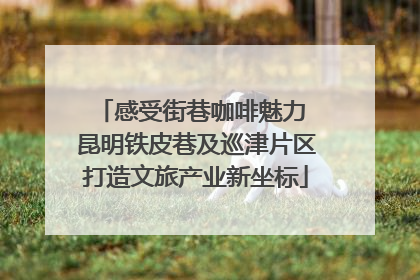 感受街巷咖啡魅力 昆明铁皮巷及巡津片区打造文旅产业新坐标