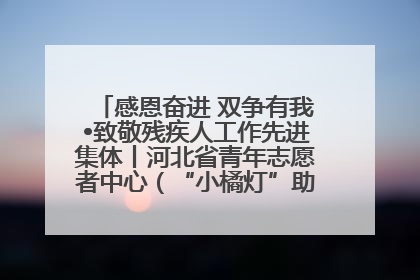 感恩奋进 双争有我•致敬残疾人工作先进集体丨河北省青年志愿者中心（“小橘灯”助残接力计划实施团队）：用温暖陪伴，守护特殊孩子成长