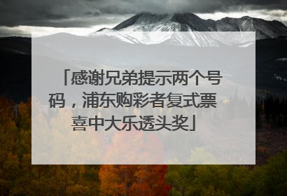 感谢兄弟提示两个号码，浦东购彩者复式票喜中大乐透头奖