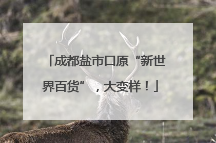 成都盐市口原“新世界百货”，大变样！