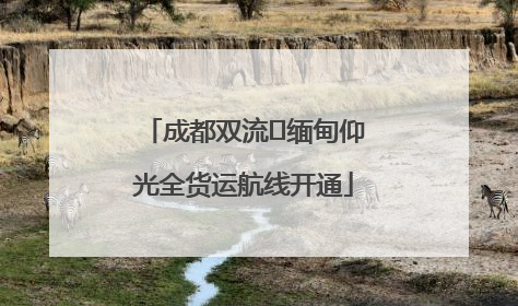 成都双流⇌缅甸仰光全货运航线开通