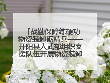战勤保障练硬功 物资装卸砺精兵——开阳县人武部组织支援队伍开展物资装卸专业训练