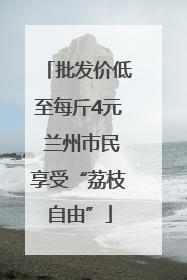 批发价低至每斤4元 兰州市民享受“荔枝自由”