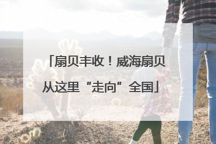 扇贝丰收！威海扇贝从这里“走向”全国