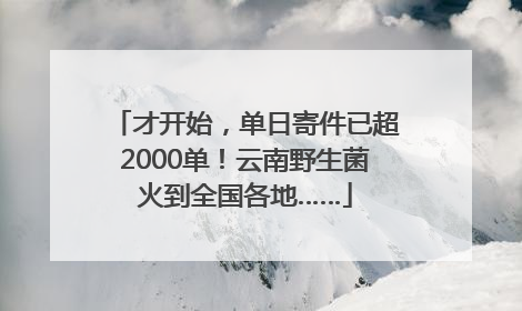 才开始，单日寄件已超2000单！云南野生菌火到全国各地……