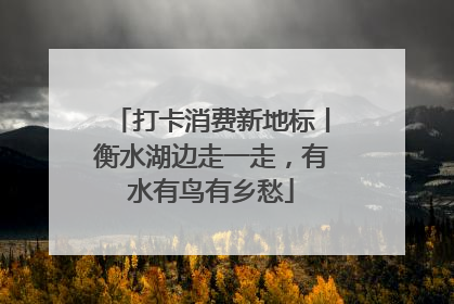 打卡消费新地标丨衡水湖边走一走，有水有鸟有乡愁