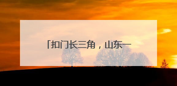 扣门长三角，山东一市市委书记、市长接连带队招商谋深度对接
