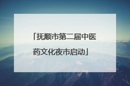 抚顺市第二届中医药文化夜市启动