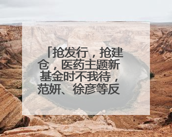抢发行，抢建仓，医药主题新基金时不我待，范妍、徐彦等反按兵不动