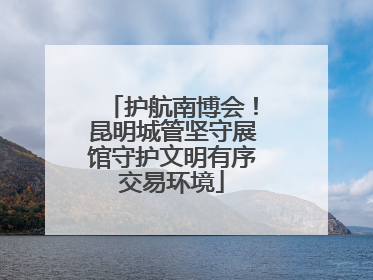 护航南博会！昆明城管坚守展馆守护文明有序交易环境
