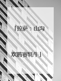 拉萨：山沟欢腾赛牦牛