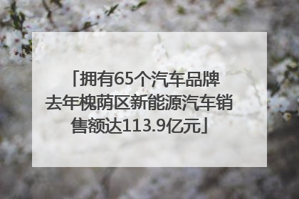 拥有65个汽车品牌 去年槐荫区新能源汽车销售额达113.9亿元